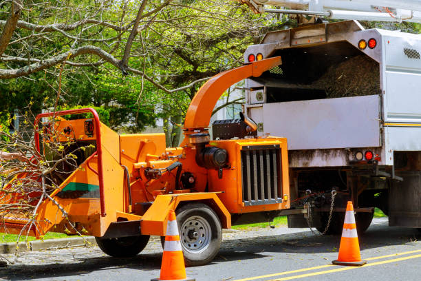 Why Choose Our Tree Removal Services in Ocean Pines, MD?